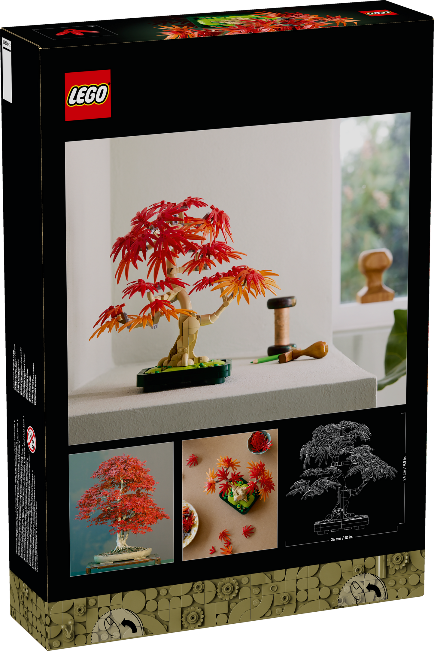 10348 - Japanese Red Maple Bonsai Tree