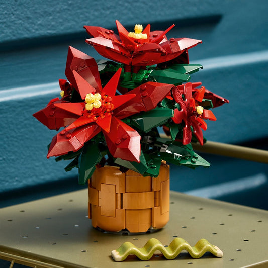 10370 Poinsettia